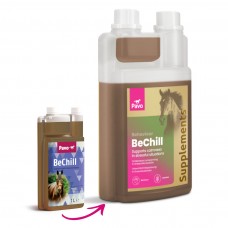 Pavo BeChill Pavo BeChill